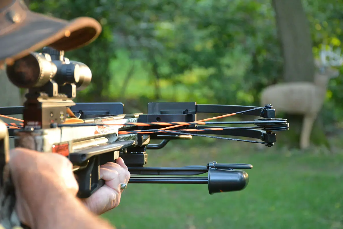 3D Hunting Course - Crossbow shooting